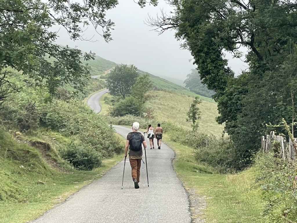 Walkers on a green country road along the Camino de Santiago