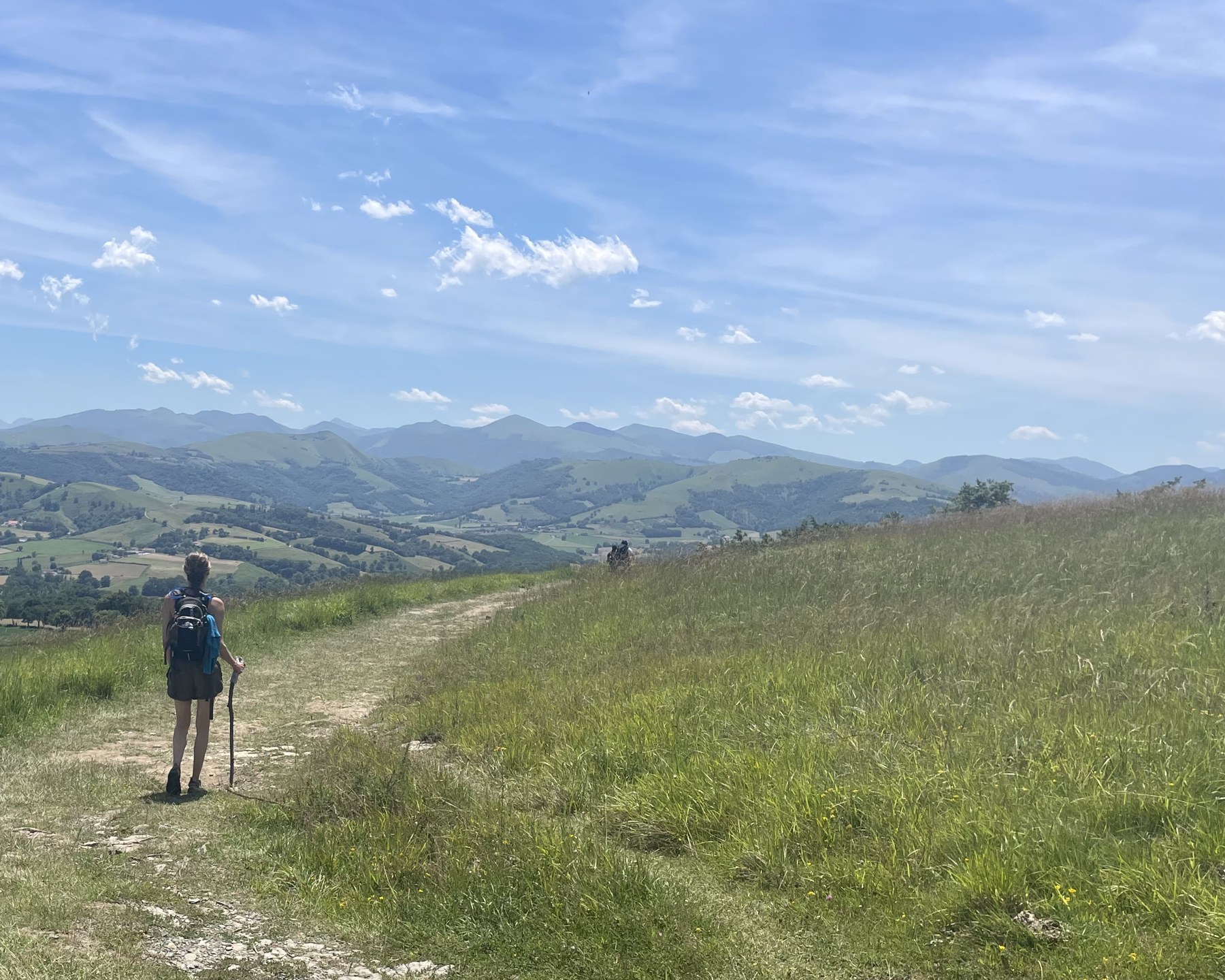 A walker pausing on a grassy Camino trail with rolling green hills beyond